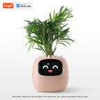 Meet Ivy: The Smart Planter That Brings Your Plant to Life