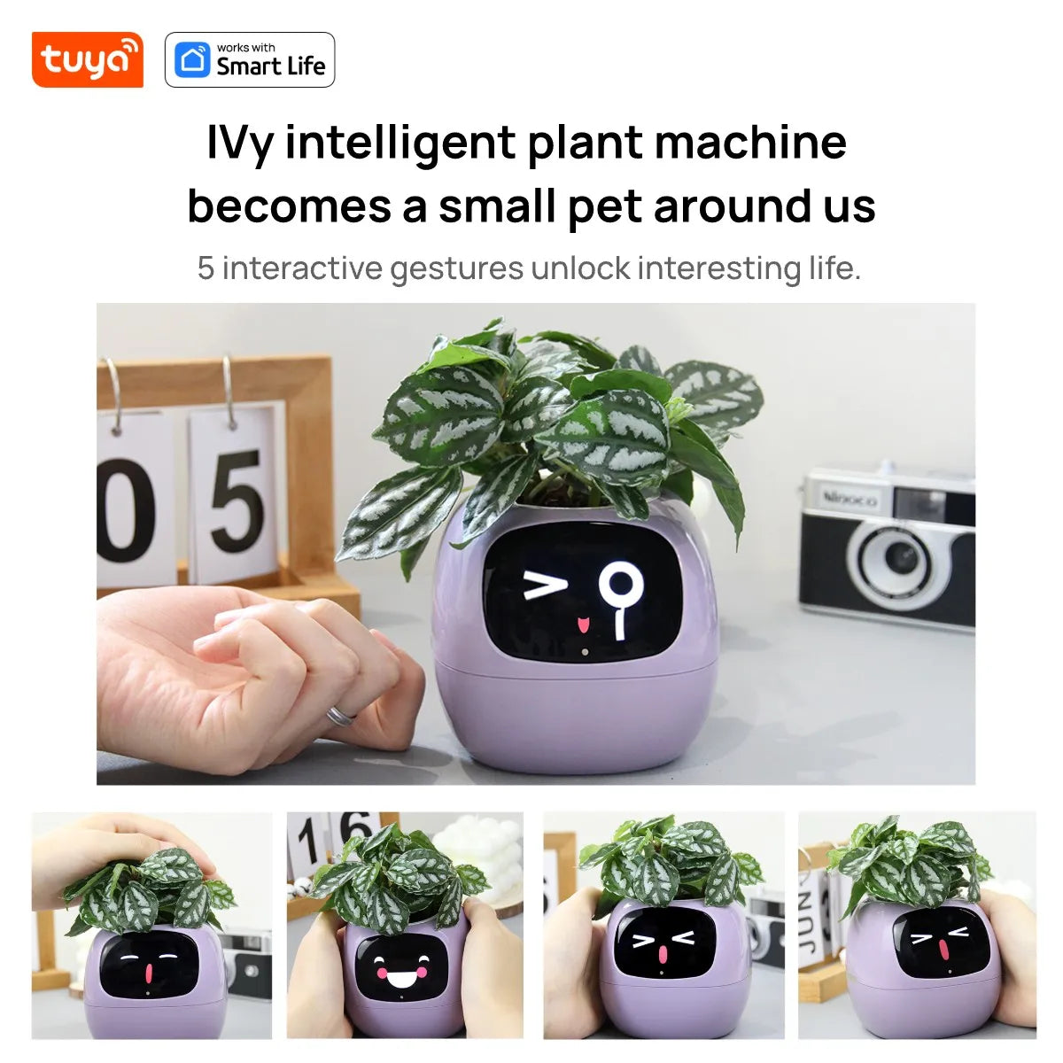 Meet Ivy: The Smart Planter That Brings Your Plant to Life