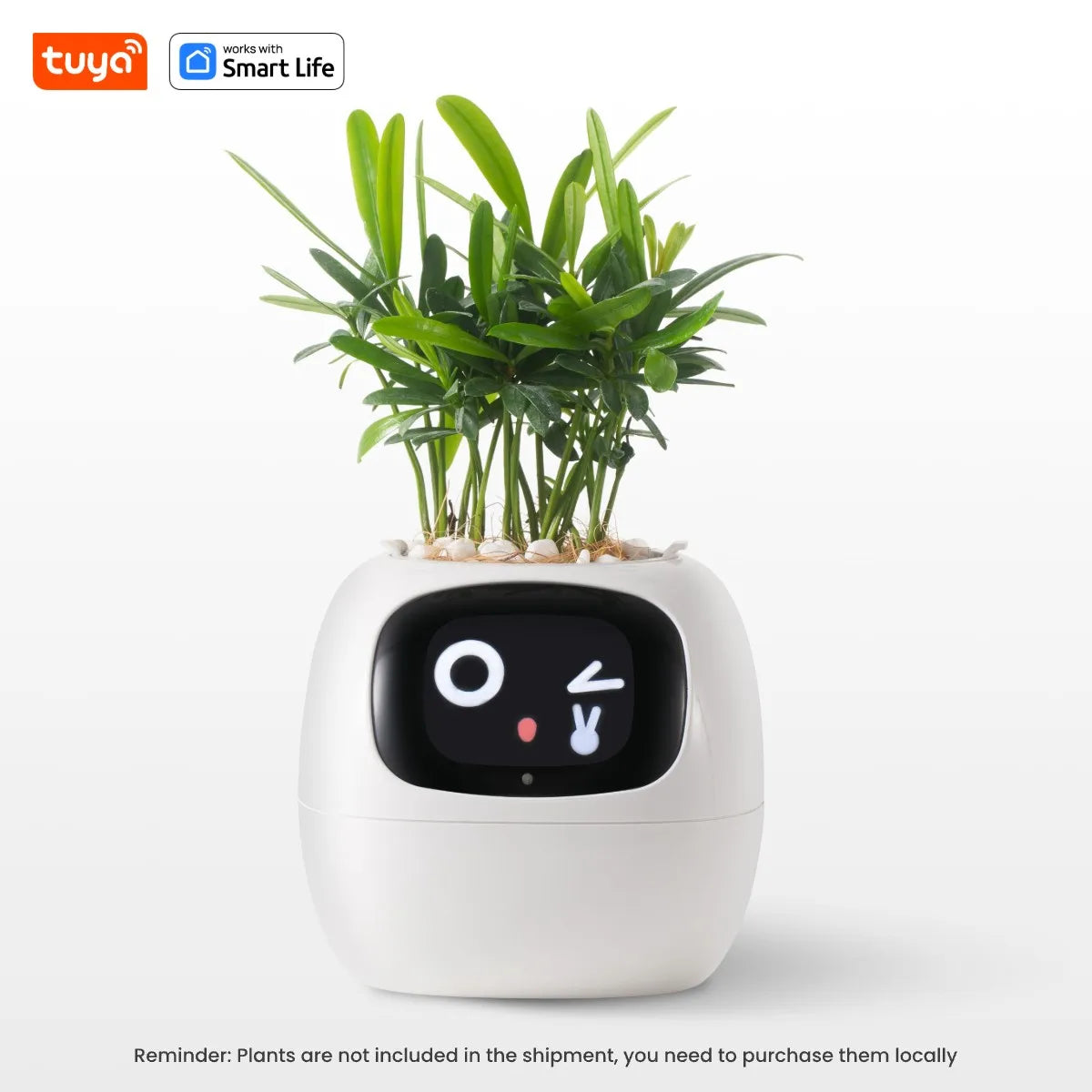 Meet Ivy: The Smart Planter That Brings Your Plant to Life