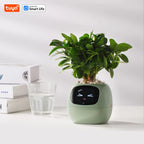 Meet Ivy: The Smart Planter That Brings Your Plant to Life