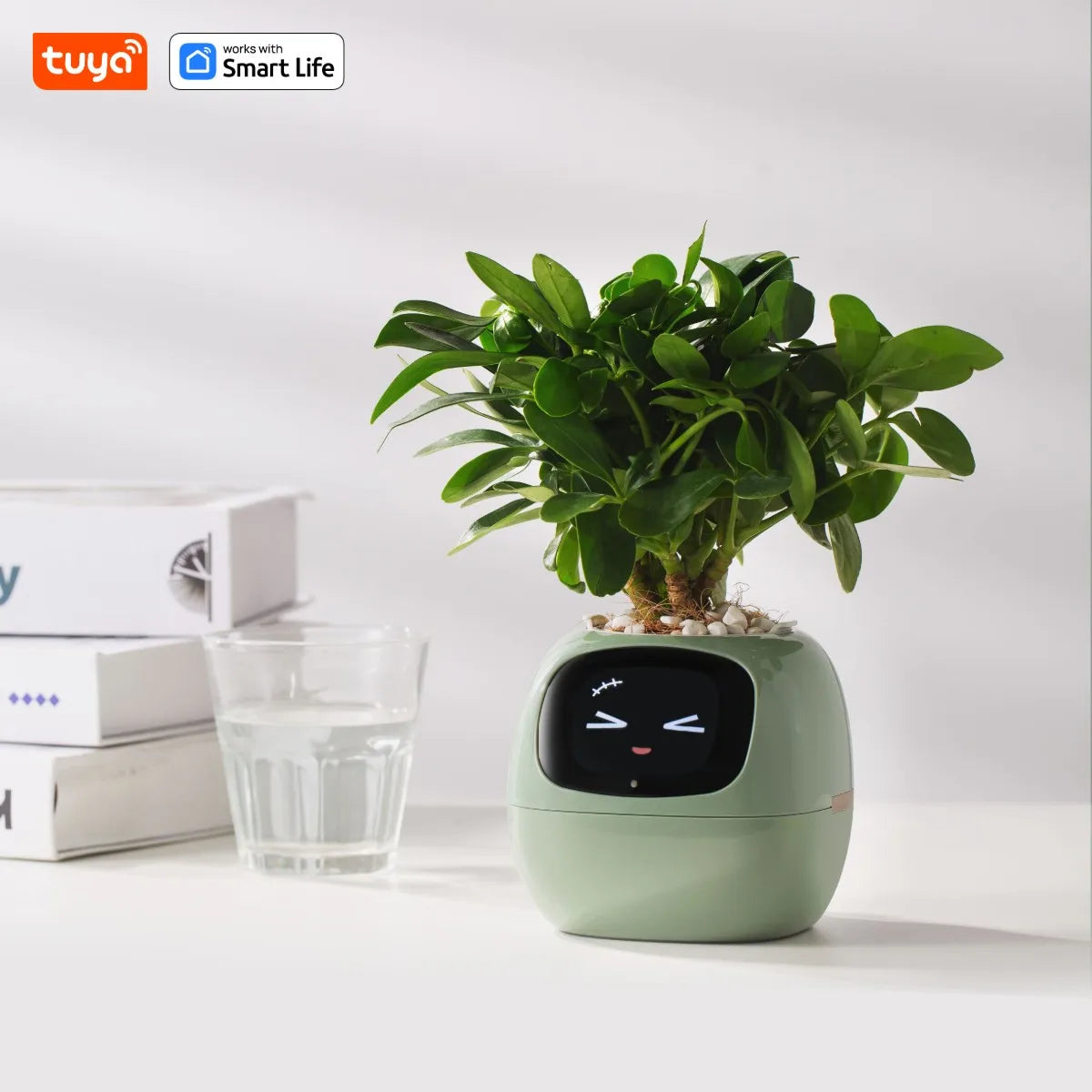 Meet Ivy: The Smart Planter That Brings Your Plant to Life