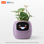 Meet Ivy: The Smart Planter That Brings Your Plant to Life