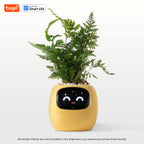 Meet Ivy: The Smart Planter That Brings Your Plant to Life