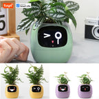 Meet Ivy: The Smart Planter That Brings Your Plant to Life